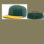 Player Hat 2025 PTS20 PULSE R-FLEX