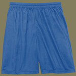 Sport Tek Youth Mesh Short