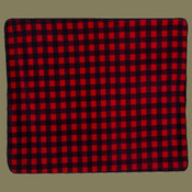 Polyester/Nylon Patterned Picnic Blanket