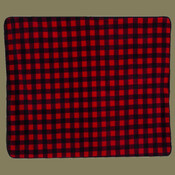 Polyester/Nylon Patterned Picnic Blanket