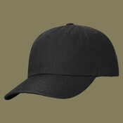 Sustainable Ashland Dad Hat