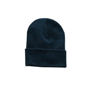 Beanie (Navy CP90)