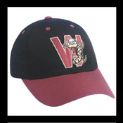 Wisconsin Timber Rattlers