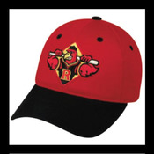 Rochester Red Wings